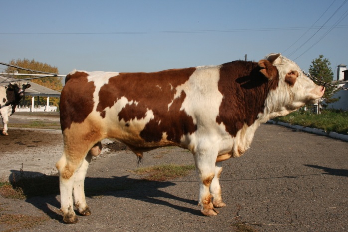 ДОГОВОР  19647  КСС-1586